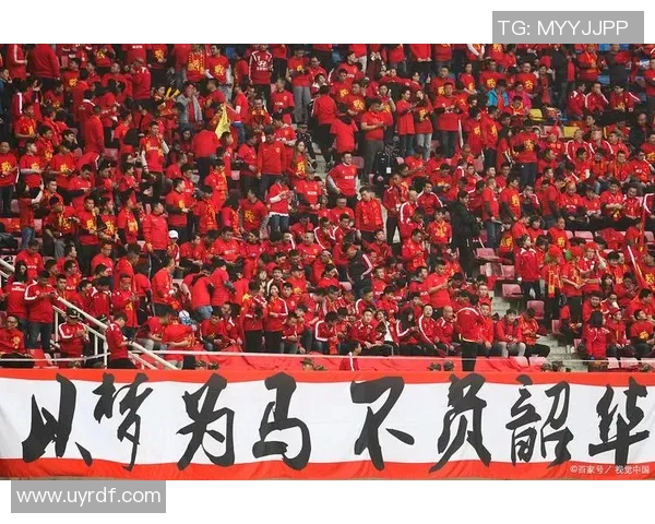 足球明星与中国球迷关系的多维考察与情感互动分析